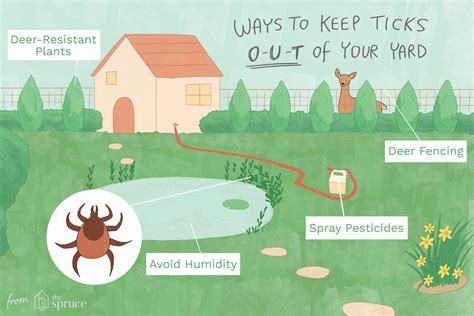 How To Make Your Own Tick Repellent 5 Best Tick Repellents For Humans