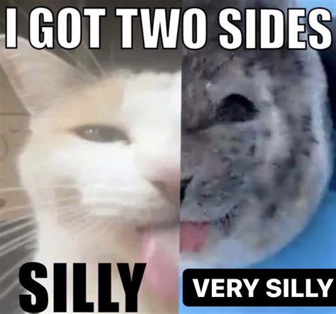 I Got Two Sides: Silly / Very Silly | Silly Cats | Know Your Meme