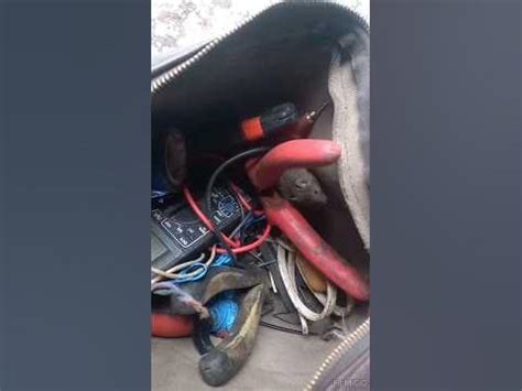 мышь в сумке#трындец - YouTube