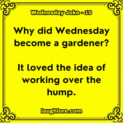 127 Wednesday Jokes