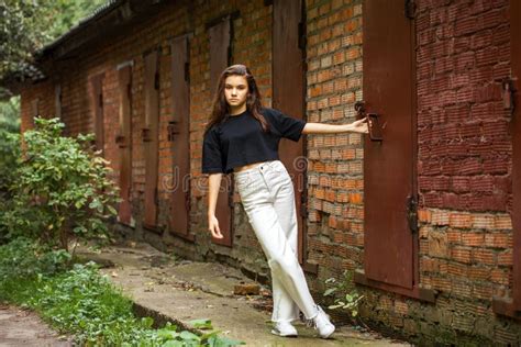 Jeune Belle Brunette Fille Automne Parc Ext Rieur Image Stock Image Du Mod Le Brique