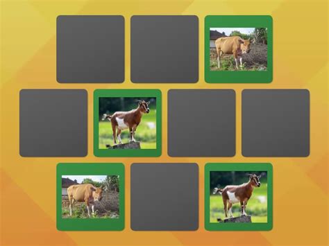 Mencocokan Gambar Hewan - Matching pairs