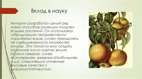 Иван Владимирович Мичурин - презентация онлайн