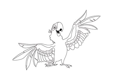 Раскраска Веселый попугайчик – скачать бесплатно, распечатать