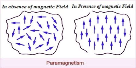 Properties of Paramagnetic Materials - QS Study