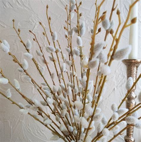 Stems Artificial Pussy Willow Faux Pussy Willow Pussy Etsy UK