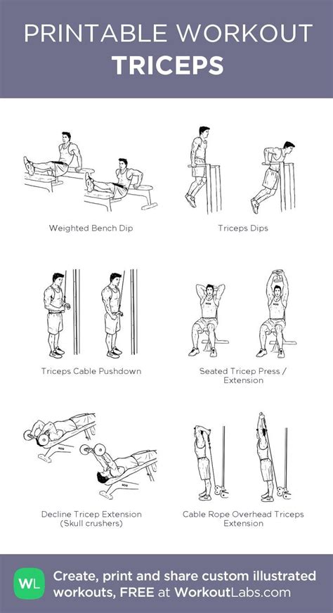 Printable Tricep Exercise Chart Atelier Yuwa Ciao Jp