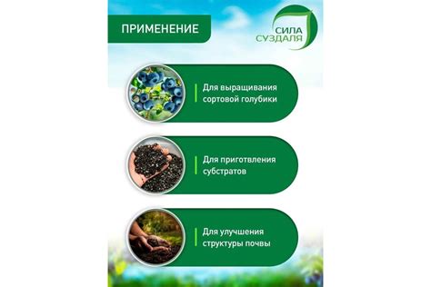 Торф Двина Для голубики 100 л 4811718003278 - выгодная цена, отзывы ...