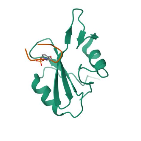 Rcsb Pdb Jyr Xray Structure Of Grb Sh Domain Complexed With A