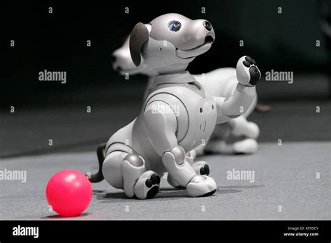 Tokyo Japan 1st Nov 2017 Sonys New Robot Aibo On Display