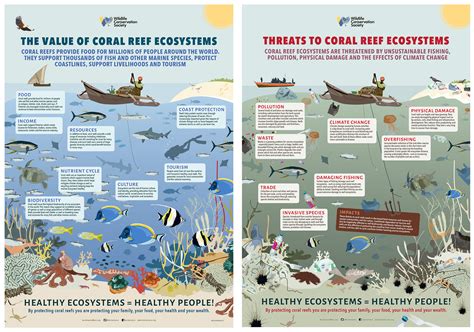 Coral Reef Ecosystem