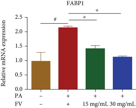 Amelioration Of Lipid Accumulation In Pa Induced Hepg2 Cells By Fv A