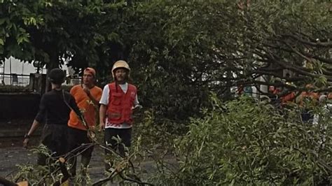 Pohon Tumbang Di Jalur Rel Ka Bhatara Kresna Tertahan Di Stasiun Solo Kota