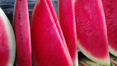 PAKWAN... Watermelon Fruit of the Philippines