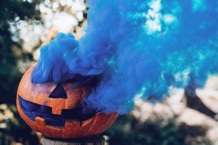 Fall Inspired Gender Reveal | How To Use a Pumpkin For a Gender Reveal ...
