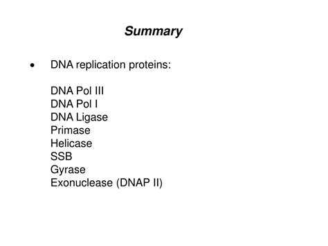 Ppt Dna Replication Senior Biology Mrs Brunone Powerpoint Presentation Id3696630