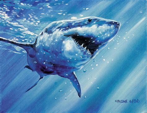 Great White Shark Painting by Matthew Milone