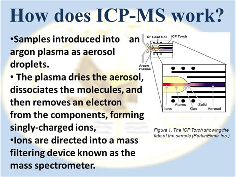 Inductively Coupled Plasma Mass Spectrometry SL 55 OFF