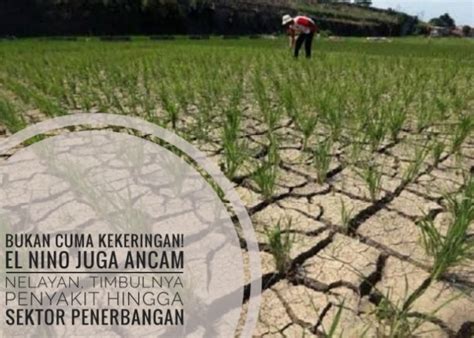 Sejarah El Nino Di Indonesia Kali Terjadi Ini Tahun Terparah