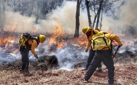 Noticias De Incendios Forestales En Milenio Grupo Milenio