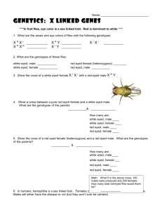 Sex Linked Genes Practice Problems Genetics Worksheet