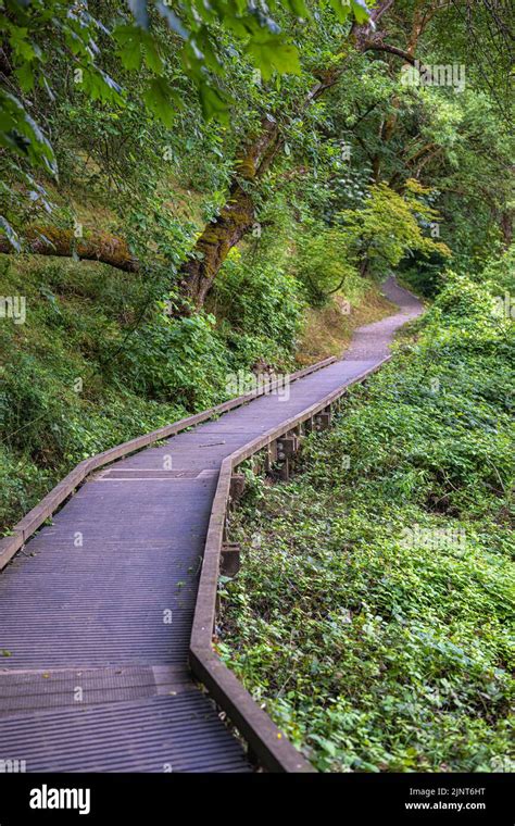 Walkway In Oaks Bottom Wildlife Refuge In Portland Oregon Stock Photo