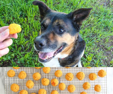 Sweet Potatoes For Dogs Recipe at Sandra Moody blog
