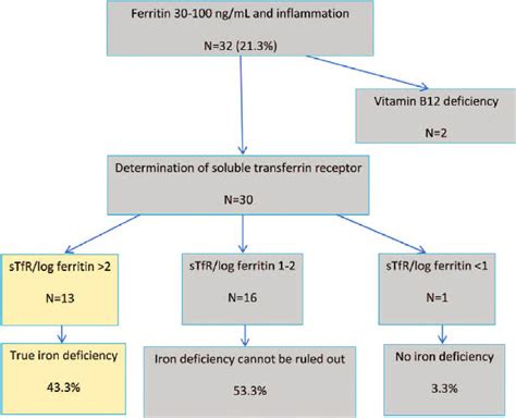 Iron Deficiency Without Anaemia A Diagnosis That Matters 41 Off
