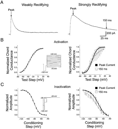 Voltage Dependence Of Activation And Inactivation Of The Transient