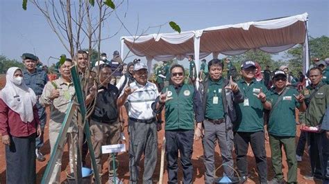 Atasi Pencemaran Udara Pemkot Depok Tanam Pohon Di Kampus UIII Cisalak