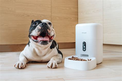 Cherry Announces New Smart Pet Feeder Plus