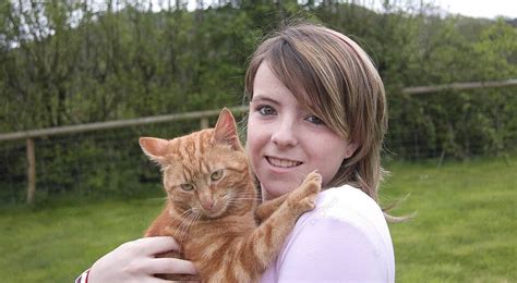 Kitty Kat Love Pretty Fuss Purr Photo Background And Picture For Free
