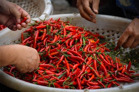 Premium Photo Red Hot Chilli