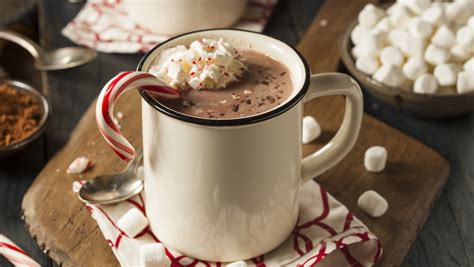 Elevated Tiktok Hot Cocoa Recipes To Warm Up Your Holiday Season