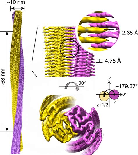 Cryo Em 3d Reconstruction Density Map Of The Ac E46k α Syn