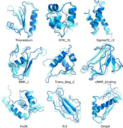 From Residue Coevolution To Protein Conformational Ensembles And