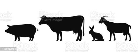 Farm Animals Silhouette Isolated Farm Animals On White Background Stock