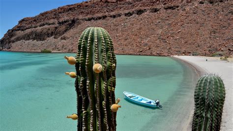 Las Playas M S Bellas De La Paz Baja California Que Debes Visitar Este