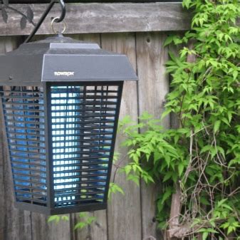 Электрические ловушки для мух: как выбрать электроловушку для мух и ...