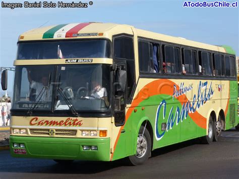 A Todo Bus Chile La Biblioteca Busóloga de Chile