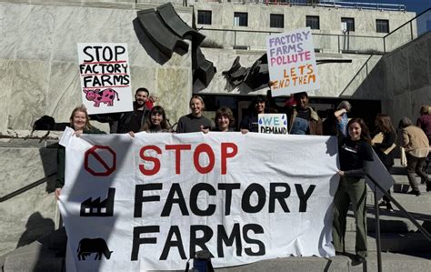 ballot initiatives phase  factory farming pro animal future