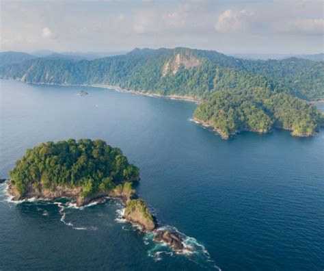 D Nde Hacer Avistamiento De Ballenas En Colombia Calendario Colombia