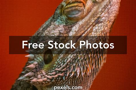 Hunter Green Background Photos, Download The BEST Free Hunter Green