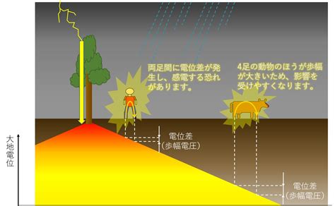 雷から身を守る方法家の検索結果 Yahooきっず検索