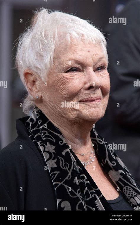 Judi Dench attending the Belfast Premiere as part of the 65th BFI ...