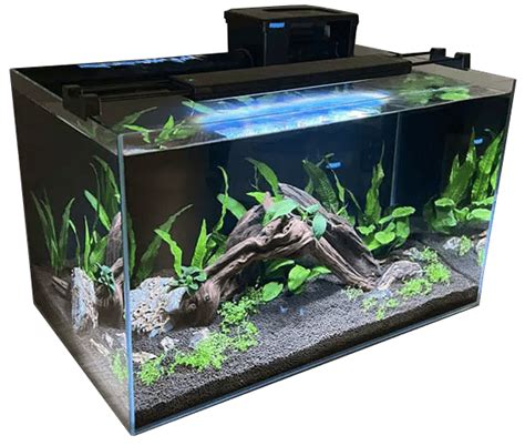 20 Gallon Low Tech Planted Tank (Setup Breakdown) | Aqua Shack