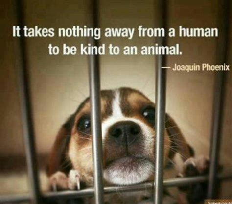 Quotes About Kindness To Animals. QuotesGram