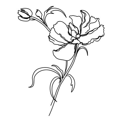 18th C Female Flower Illustrator 10