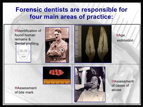 Forensic Odontology Dentistry