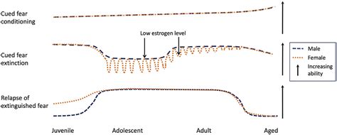 Frontiers Age Specific Sex Effects In Extinction Of Conditioned Fear In Rodents